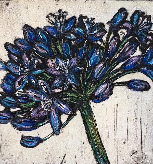 Agapanthus Study Collagraph Print 7/20 (VO07)