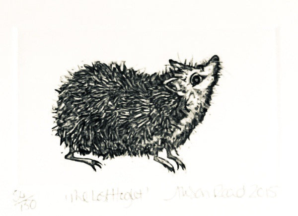 Lost Hoglet. Etching Print 54/150 (AR44)