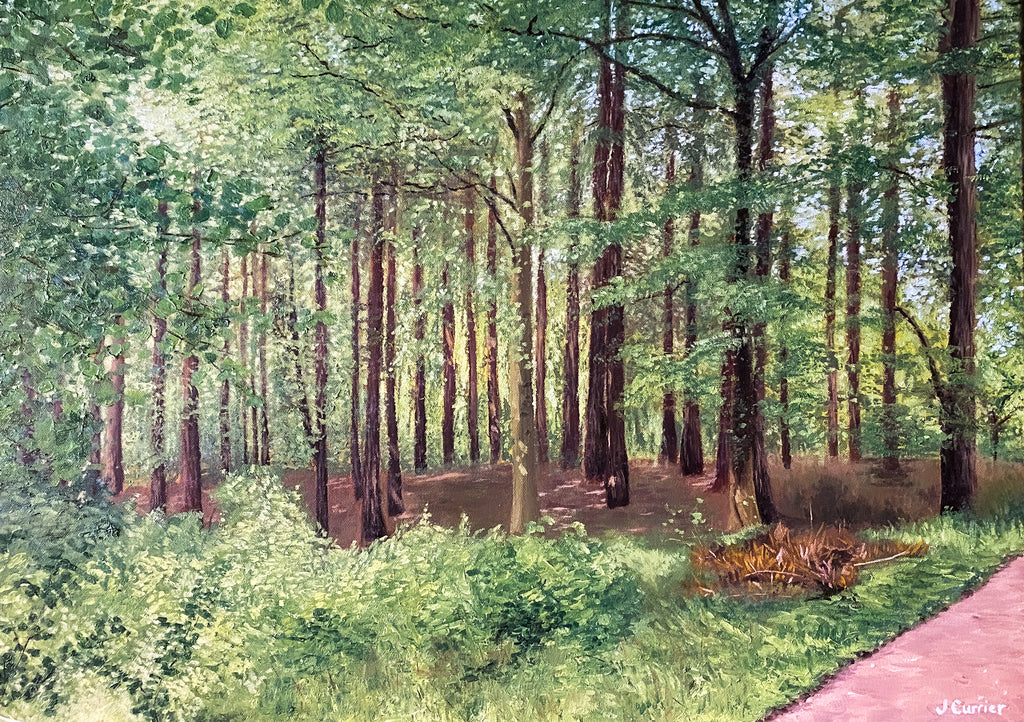 Summer Wood. Oil Painting (JC17)