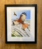 Highway Patrol (Red Kites) Framed (RR23)