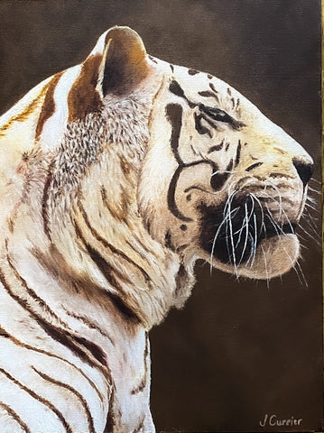 White Tiger. Oil Painting (JC14)