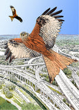 Highway Patrol (Red Kites) Framed (RR23)