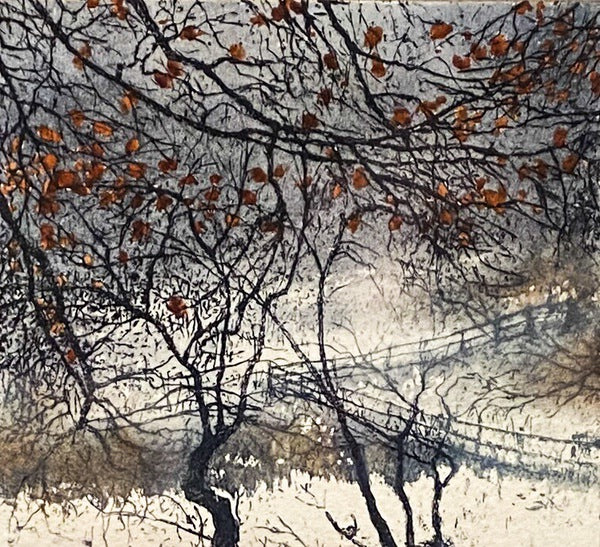 Privacy of Winter. Etching Print 55/150 (JB20)