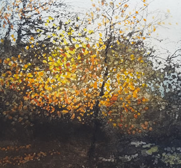 Warmth of Early Morning. Etching Print 40/150 (JB24)