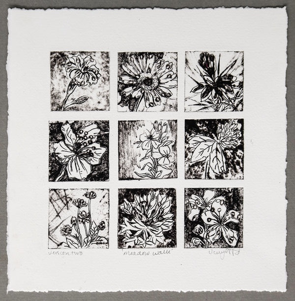Meadow walk. Collagraph Print, version 2. Framed (VO95)