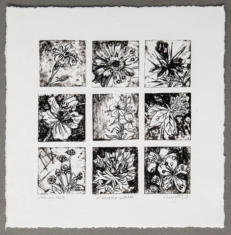 Meadow walk. Collagraph Print, version 2. Framed (VO95)
