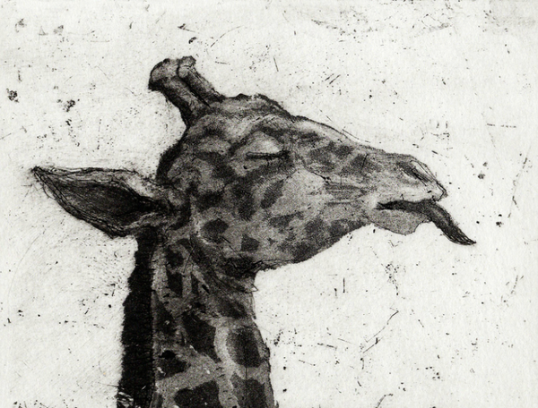 Giraffe 21/75, Etching Print (CS04)