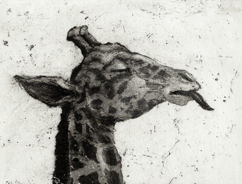 Giraffe 21/75, Etching Print (CS04)