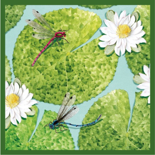 Dragonflies (Card)