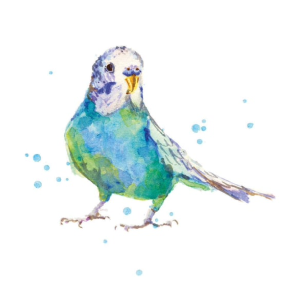 Bertie Budgie (Card)
