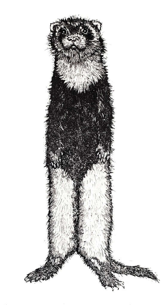 The Looter. Etching Print 10/150 (AR86)