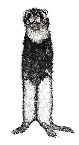 The Looter. Etching Print 10/150 (AR86)