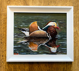 Alvechurch Mandarin (RR17)