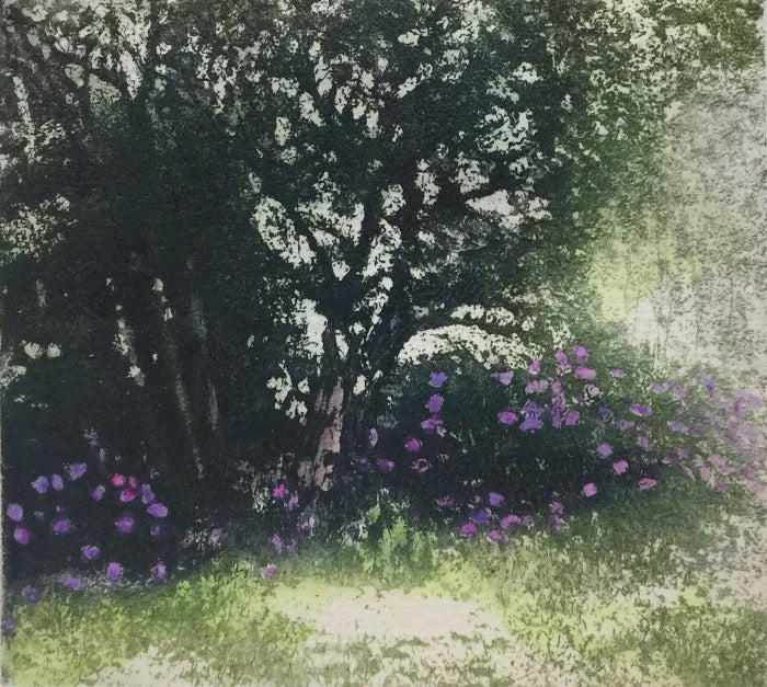 A Glint of Jewels framed (4/150)