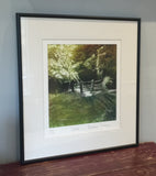 Glade (a/p) framed