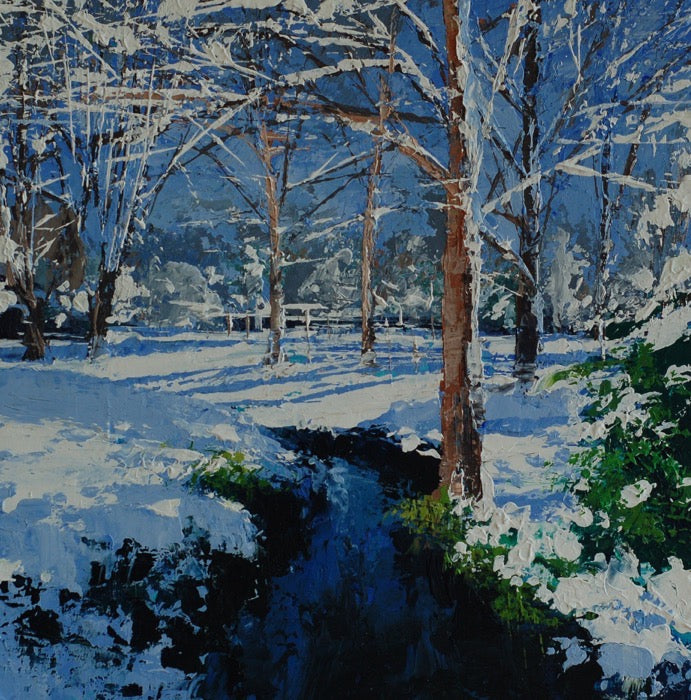 Newly Fallen Snow, Bournville Park