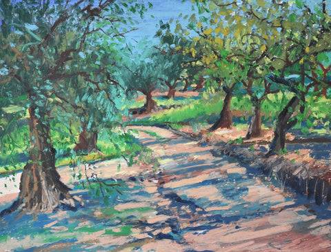 Road Through The Olive Grove