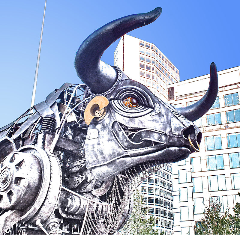 A Load of Bull, (Ozzy the Bull) Framed (RR12)