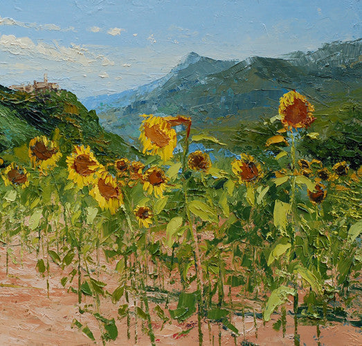 Field of Sunflowers, Saint Vincent