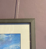 Swallow and Dragonfly, Fladbury