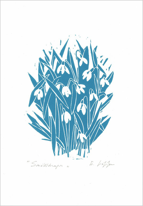 Snowdrops