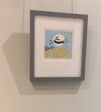 Spring Hare (3/12) framed