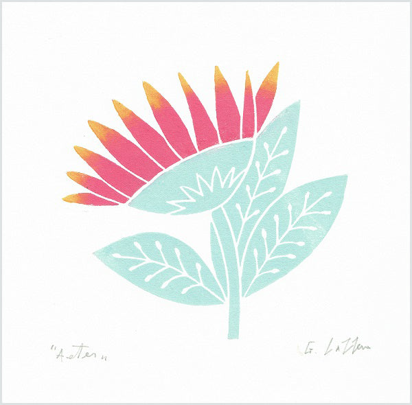 Aster