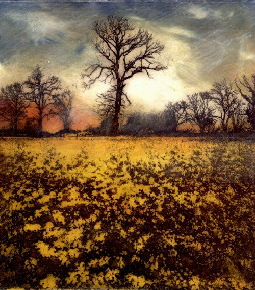 Field of Gold