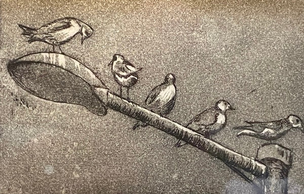 Urban Seagull a/p, Etching Print (TB07)