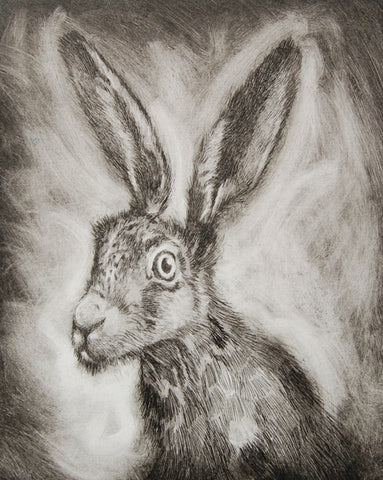 Hare Alert a/p (IM14)