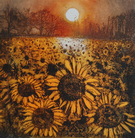 Last of the Sunflowers