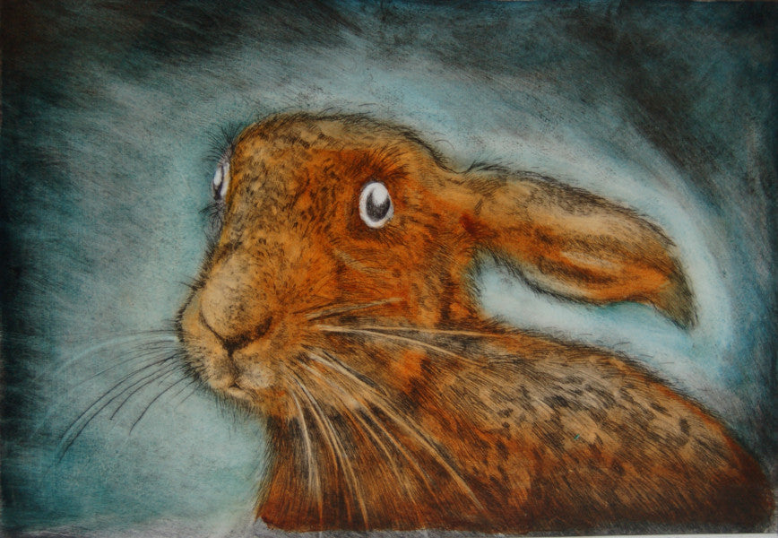 Young Hare