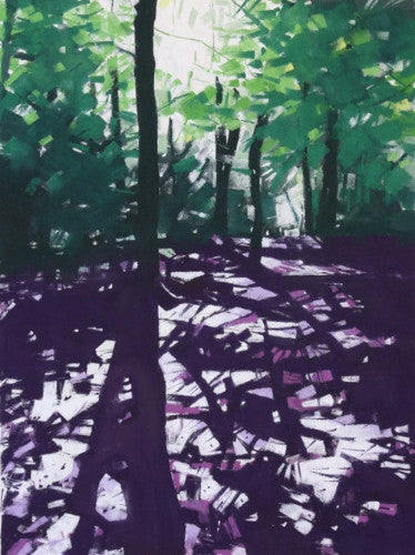 Through the Shadows