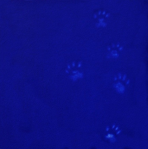 Yves Klein's Cat 2/60