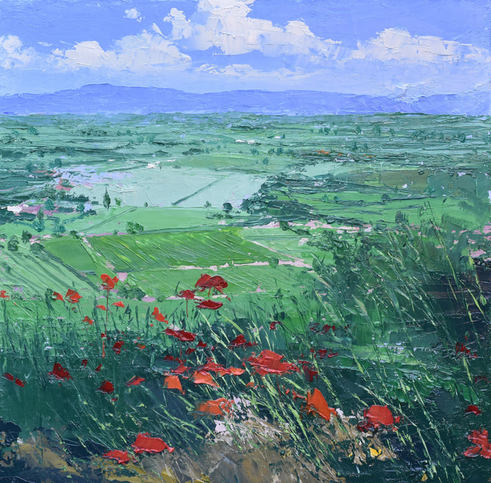 Poppies, Gordes