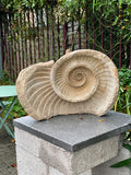 Fragment Sculpture (SC06)