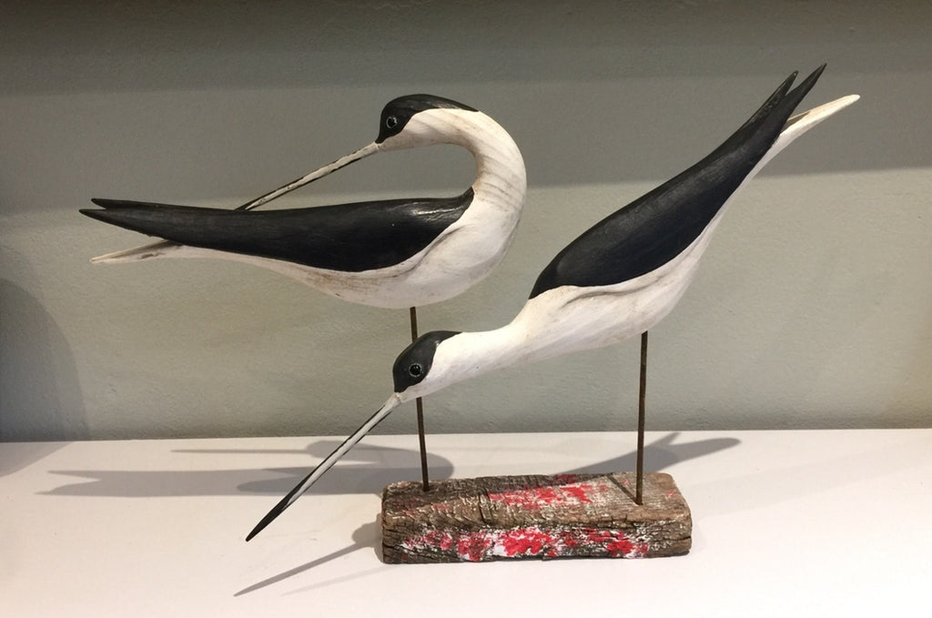 Pair of Black-winged Stilts