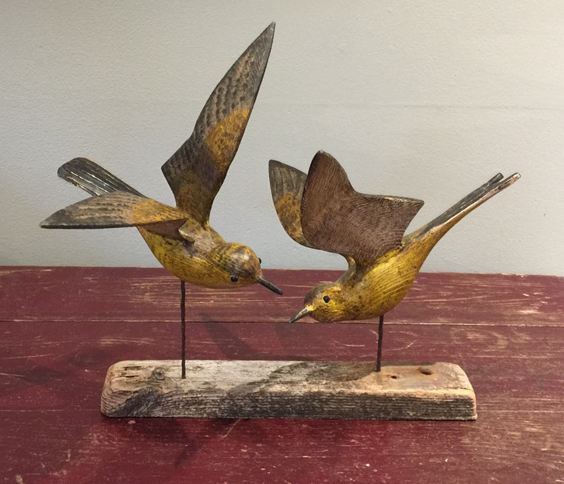 Yellow Wagtails