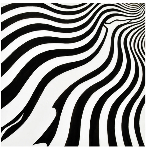 Bridget Riley's Dog 69/100