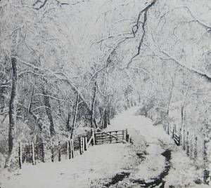 Snow on Snow (104/150)