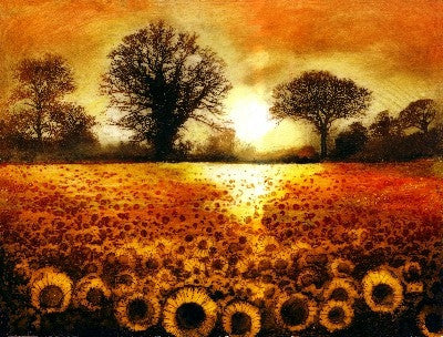 Sunflower Field 14/100