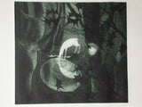 The Wood-Pool