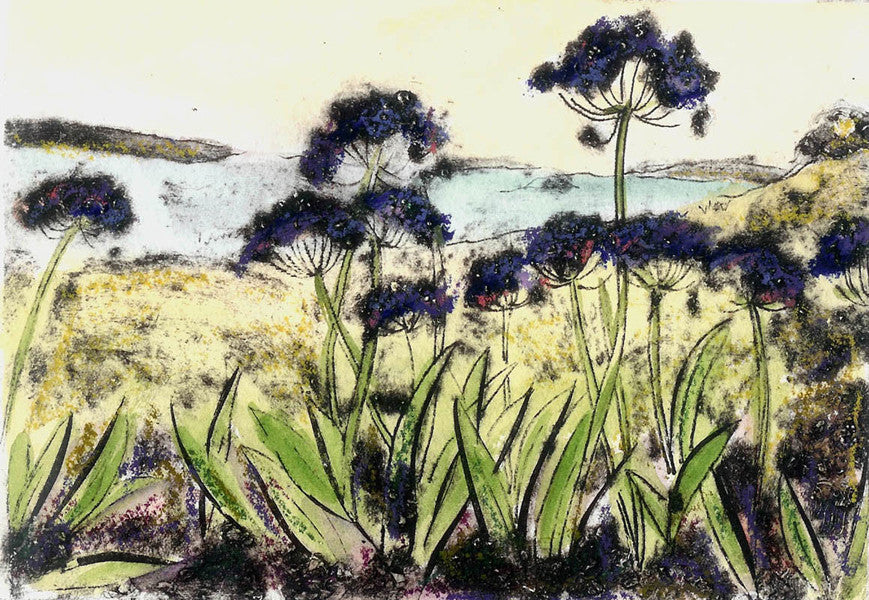 Cornwall Summer (4/10)