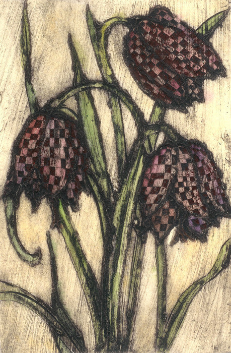 Fritillaria