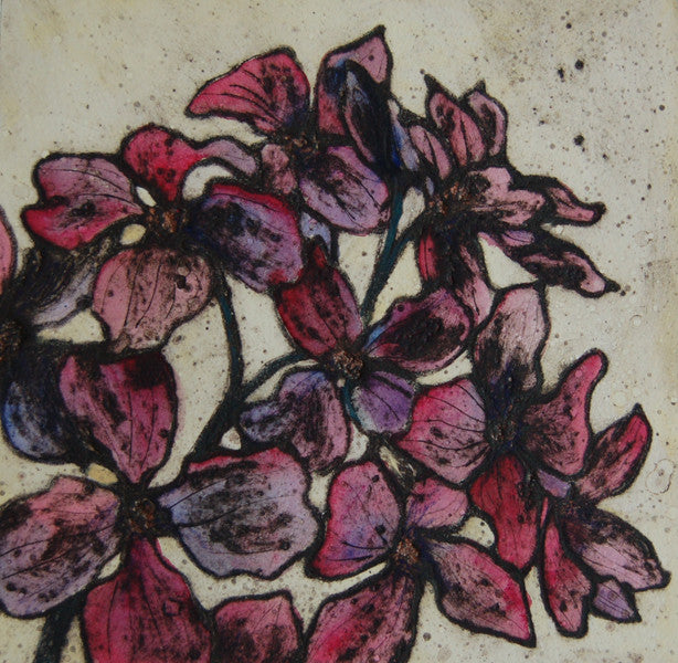 Honesty Bloom (6/10)