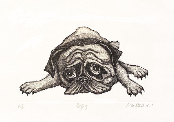 Pug Rug. Etching Print 31/150 (AR19)