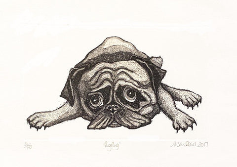 'Pug Rug' Etching Print (AR19)