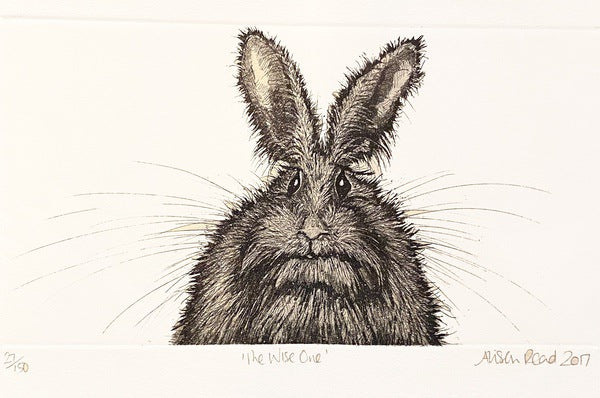 The Wise One. Etching Print 27/150 (AR60)