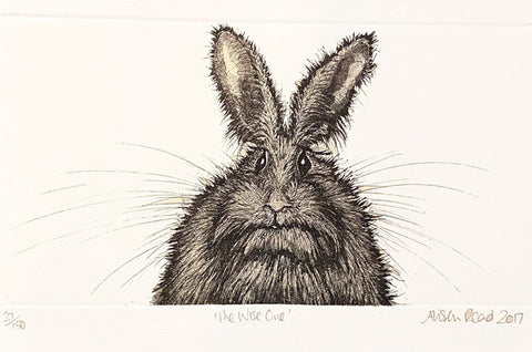 The Wise One. Etching Print 27/150 (AR60)