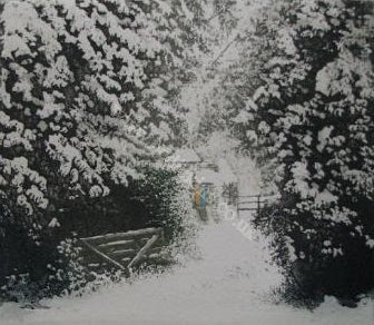 And We Had Snow